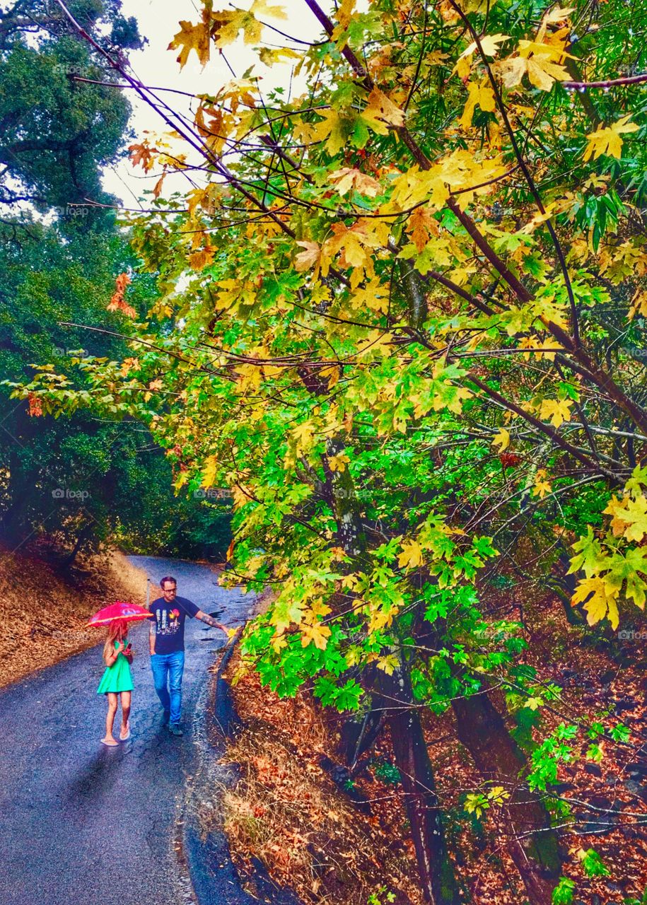 Autumn walk with dad and daughter. Daughter holding umbrella. 