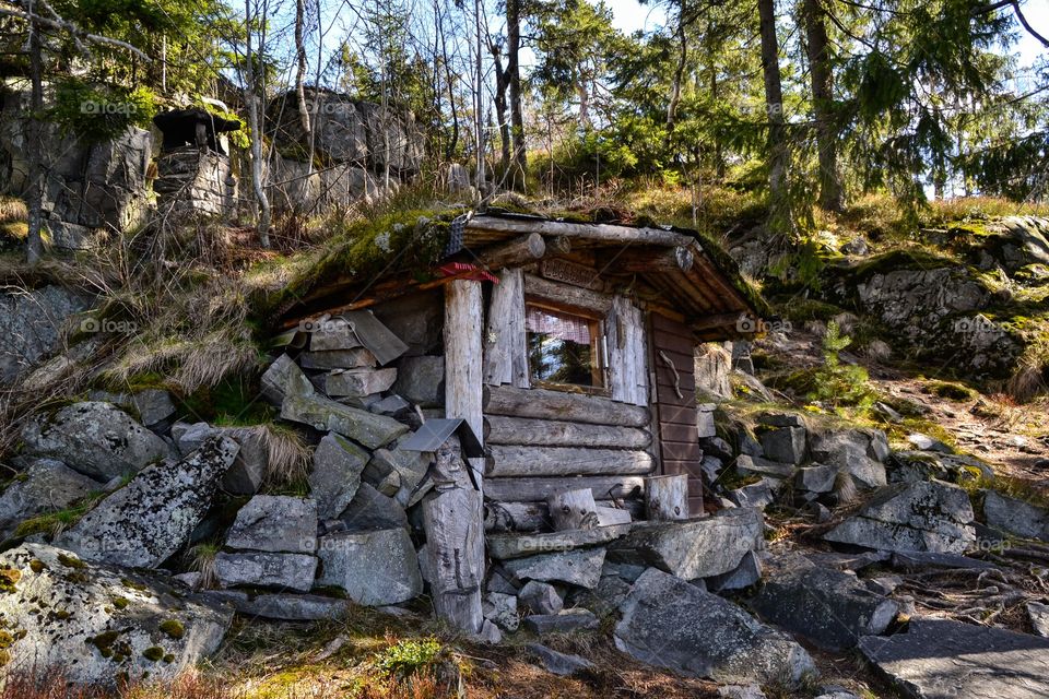 Cottage in the forest