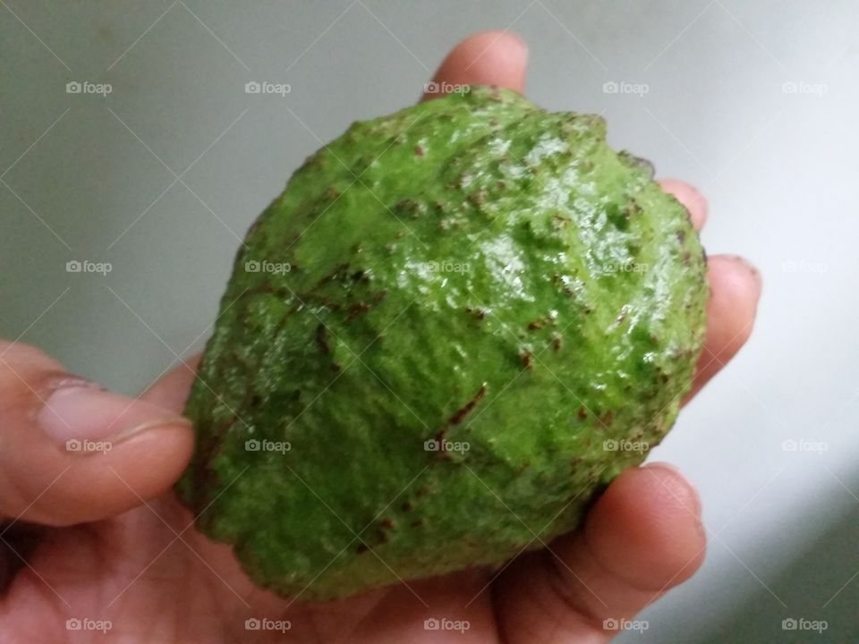Fresh Guava fruit