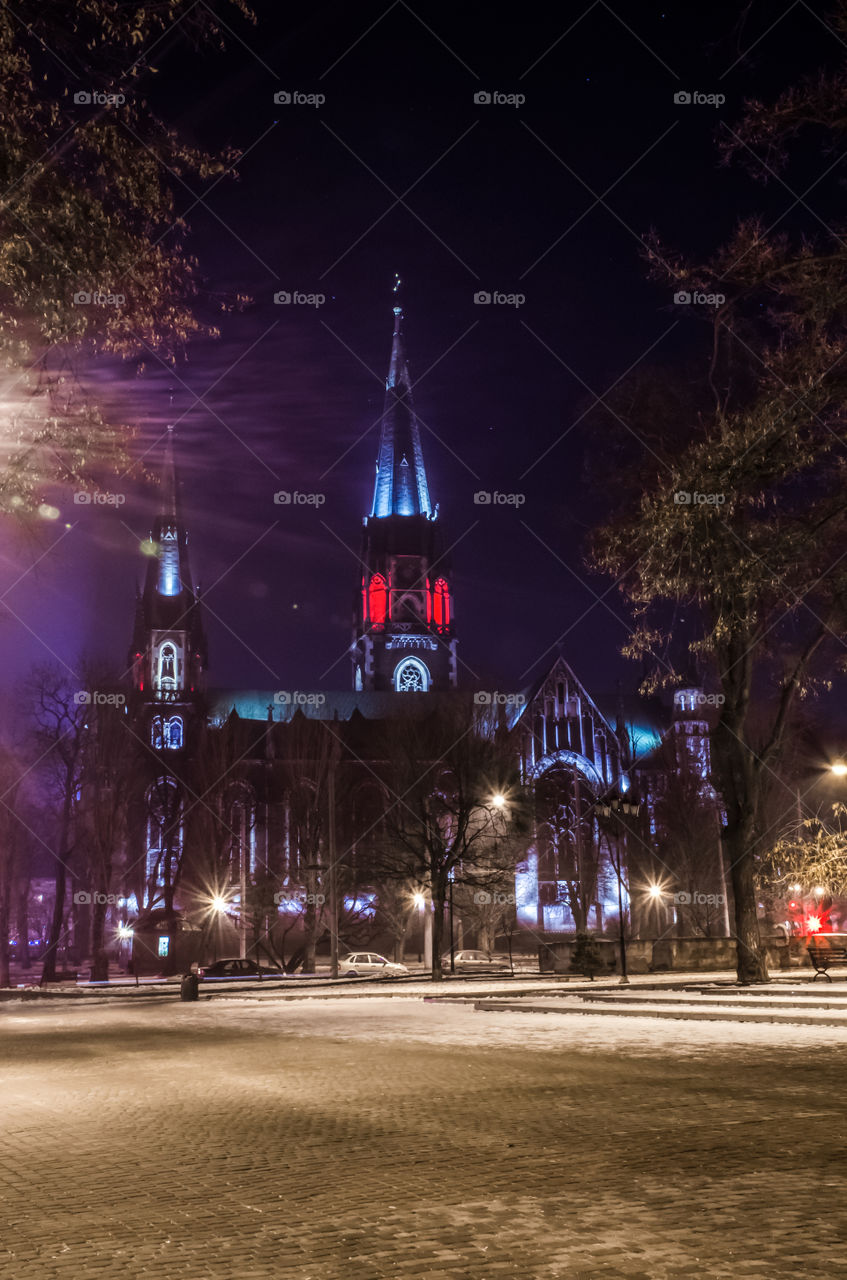 St. Olga and Elizabeth cathedral in Lviv city