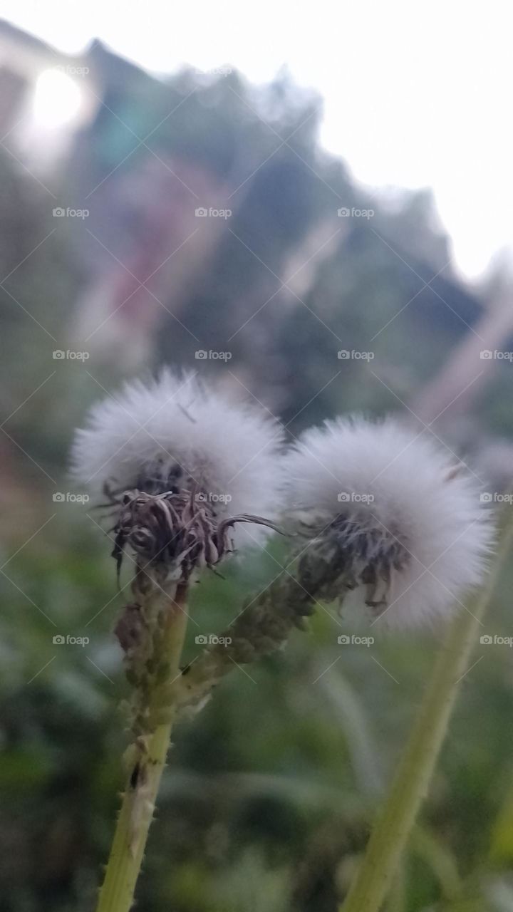 it's amazing 😍😍😍