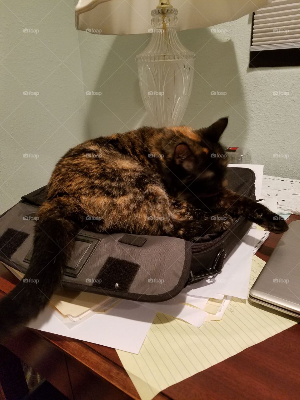 sleeping on my bag