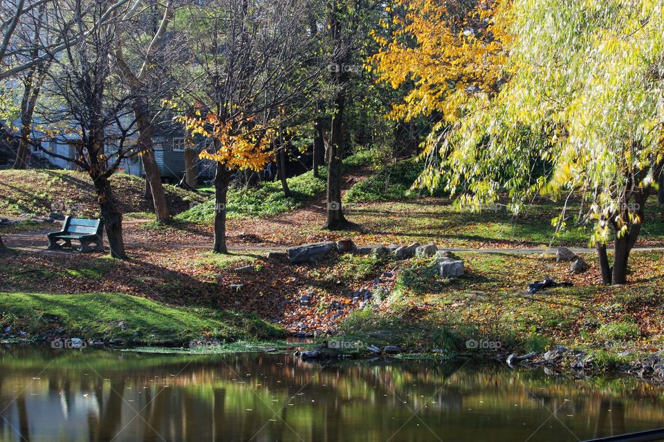 Glen park in the fall