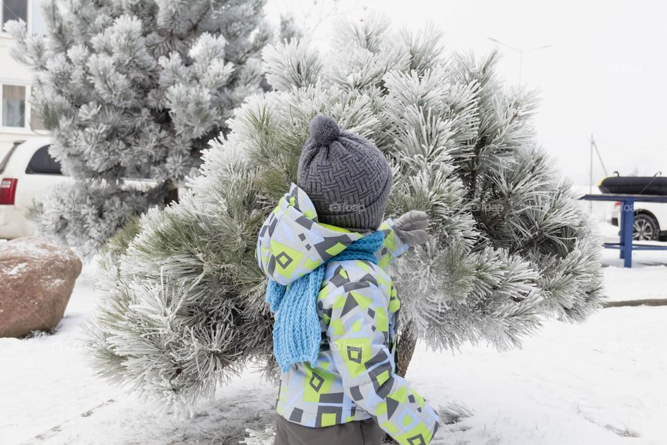 A small, carefree boy walks in winter through the white snow in the park, near the trees in the snow.