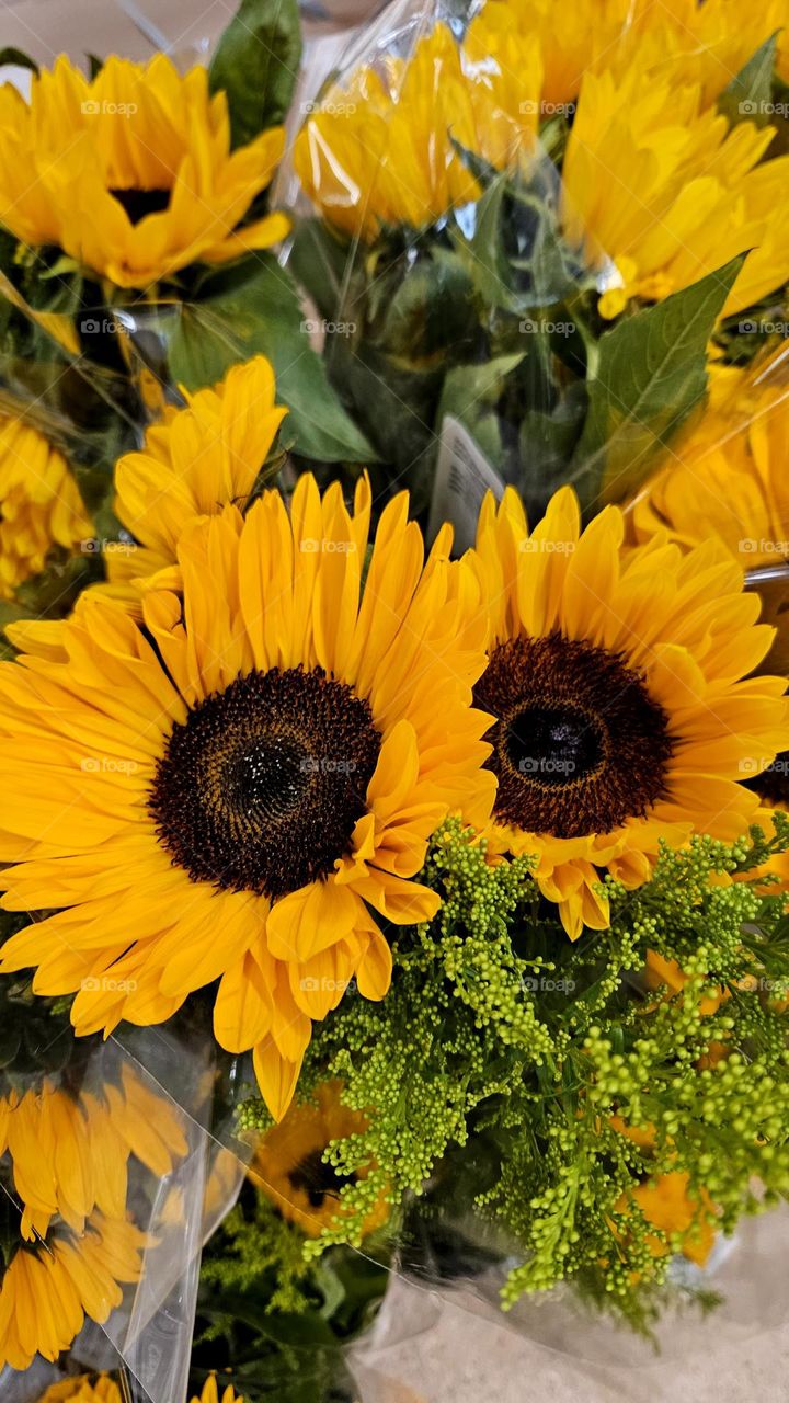 Beautiful yellow sunflowers in a bouquet for sale in a shop