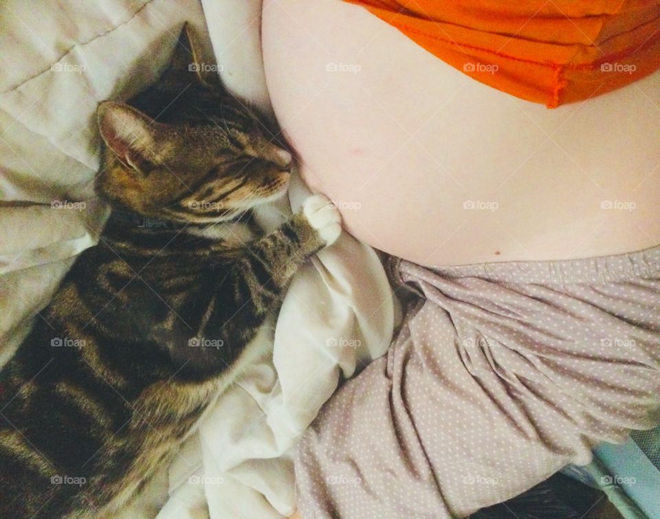 The protection from a cat to an unborn baby. 