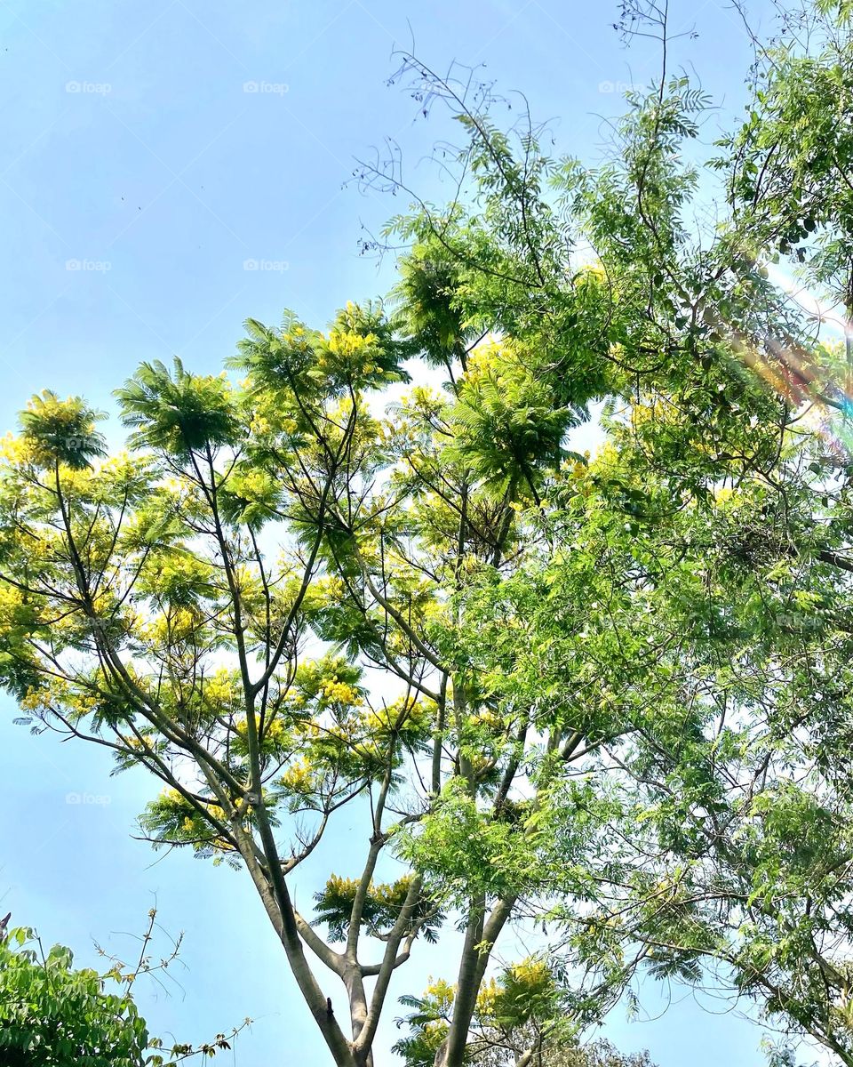 Em meio ao dia nublado, enfim, um pouco de cores no infinito.

Azul, verde e amarelo no horizonte! Com um contorno em branco...