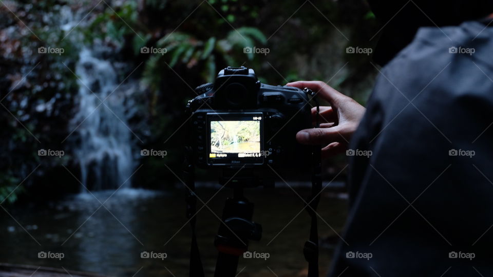 Photographer, photographing nature