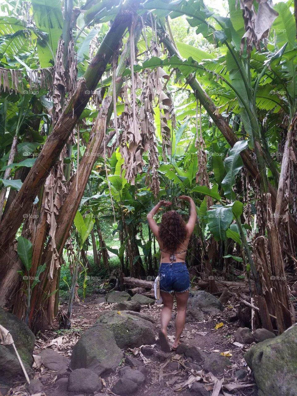 Have a day off? Why not go on a tropical hike? All of the greenery is healthy for the soul. 