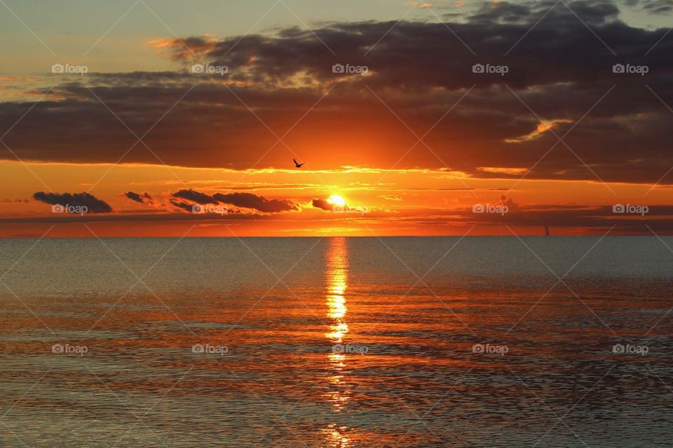 Sunset on the bay, New Jersey