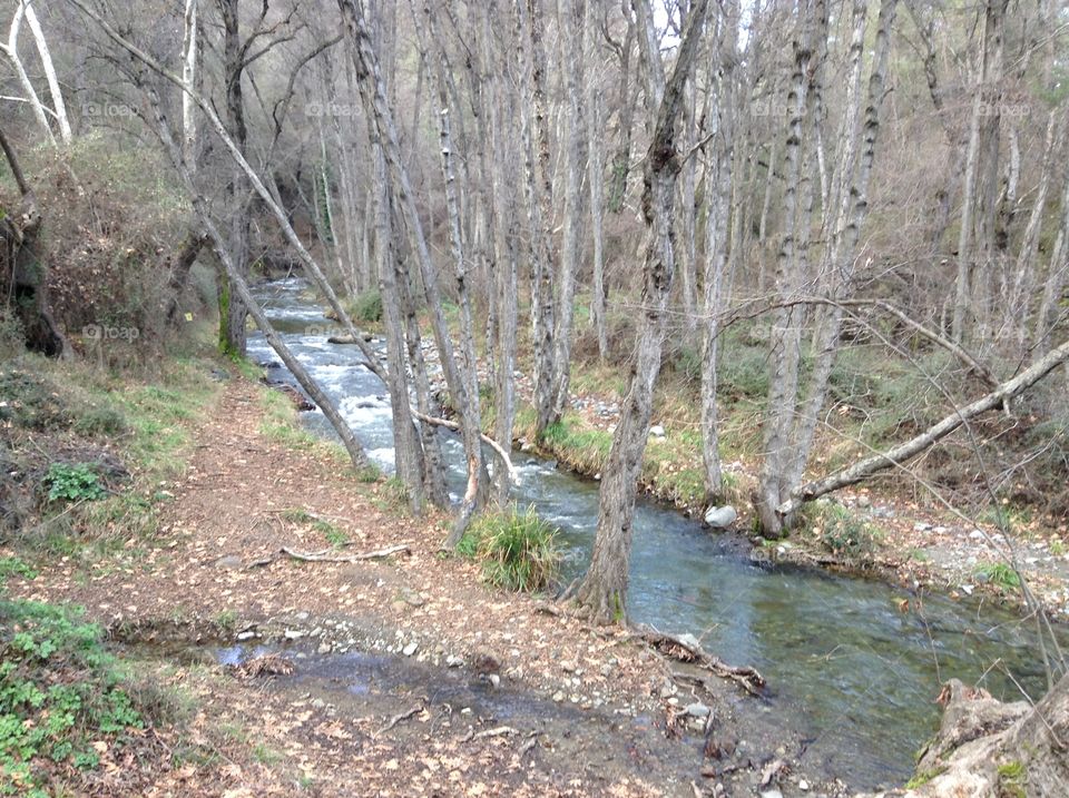 Mountain Stream in Winter.