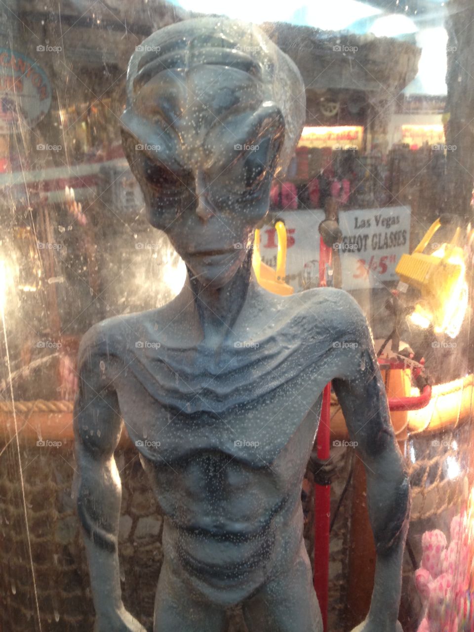 Are We Alone?

Published by:
HappyBrownMonkey 