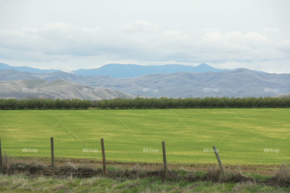 Landscape with field and mountains