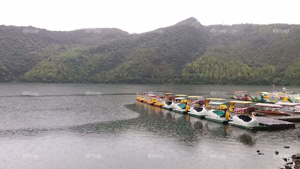 a creative and clourful  pedal boat