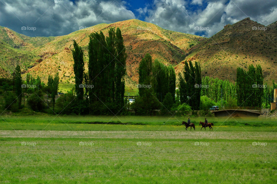 Riding horses in Nature