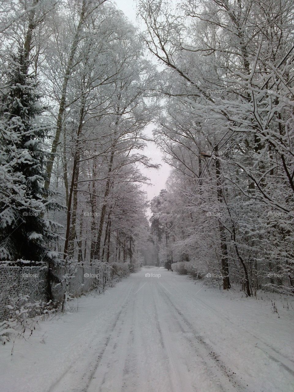 winter road