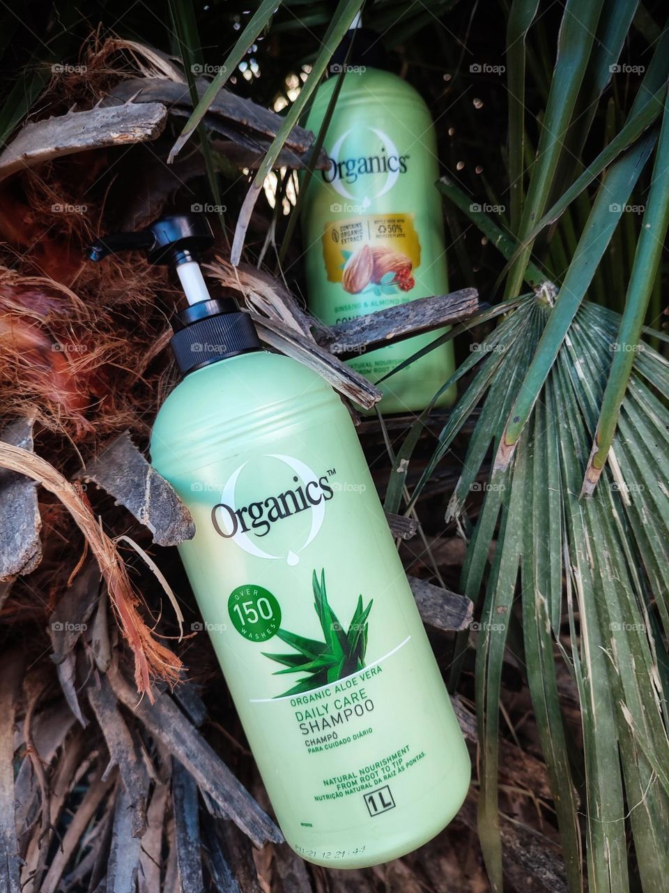 Organics Daily Care 2-in1, Shampoo and Conditioner