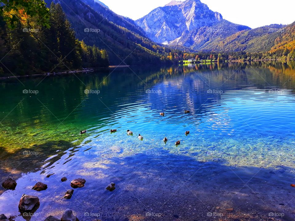 The painting of mother nature