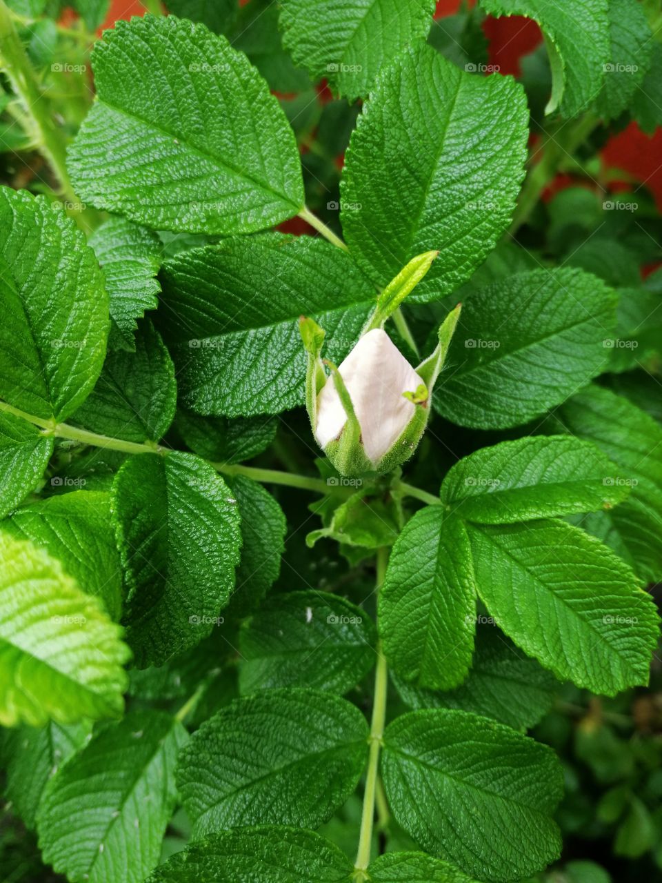 On the way 😃❤️