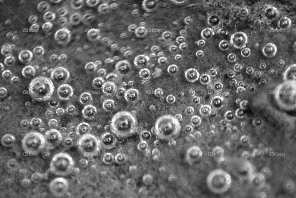 Black and white in bubbly style.