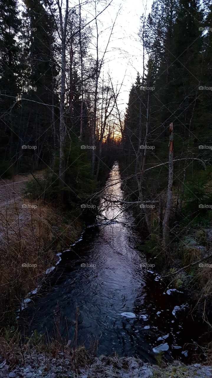 stream.....Harrbäcken