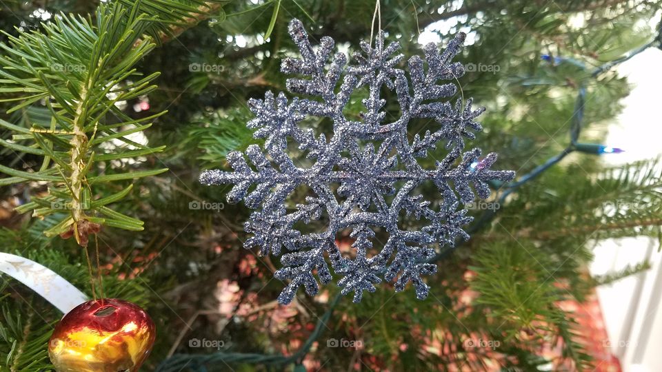 Glittering Snowflake