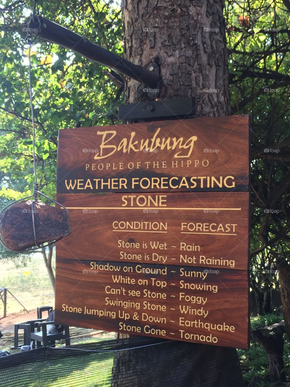 Very accurate weather forecast !
