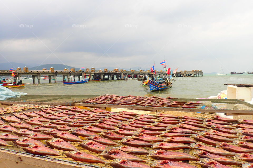 dry fish