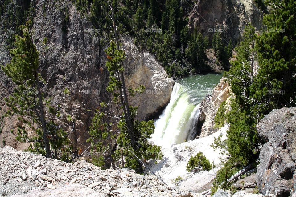 Yellowstone falls