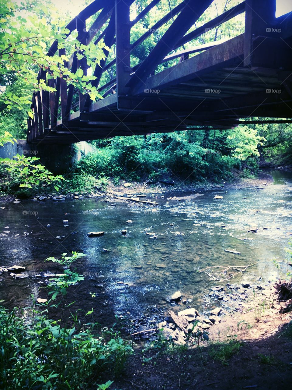 Beautiful bridge over a slow moving creek