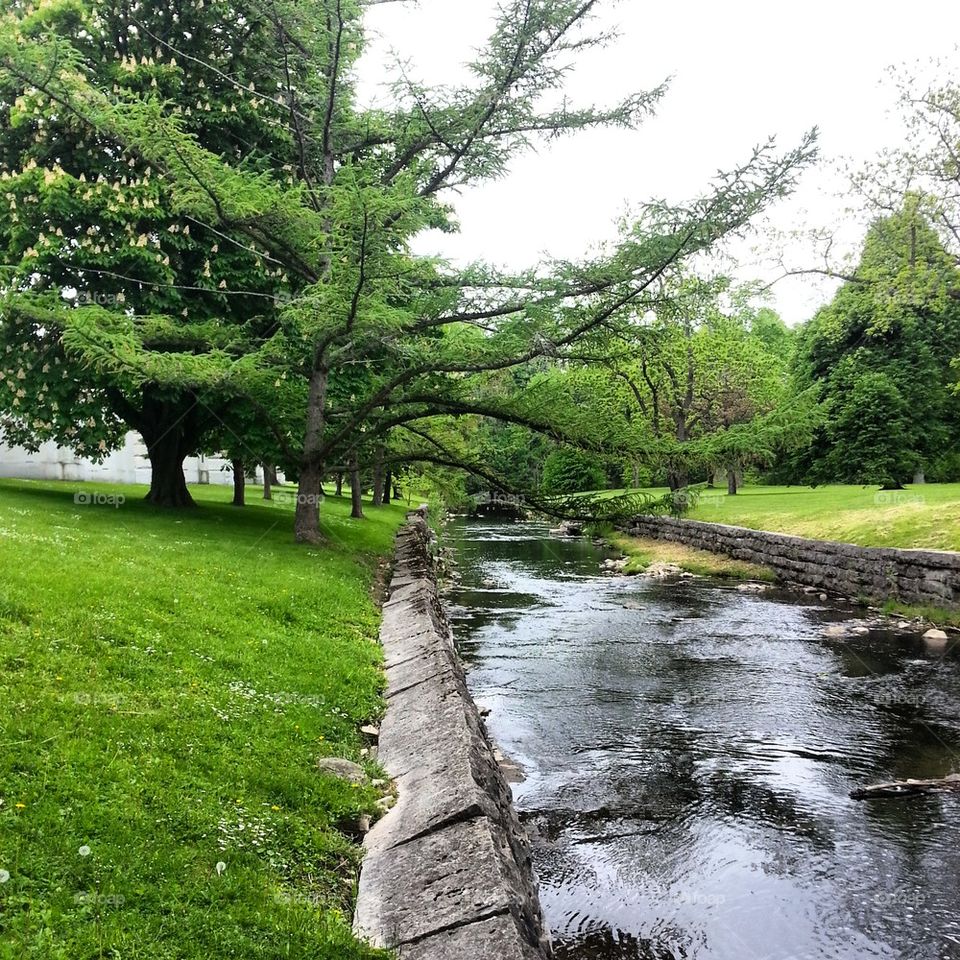 Forest Lawn Stream