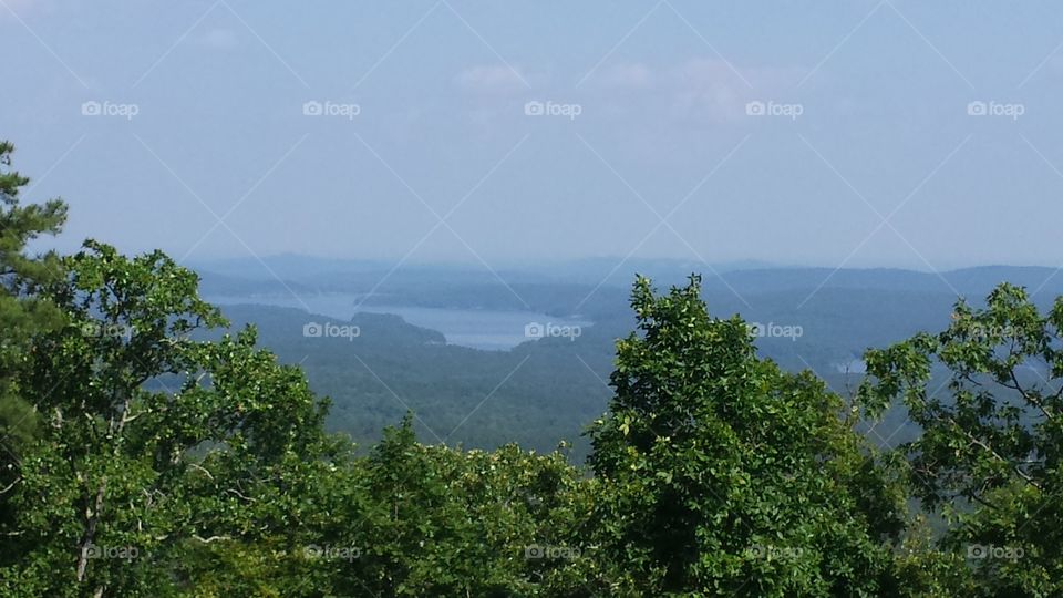 Nature, Tree, Water, Landscape, Sky