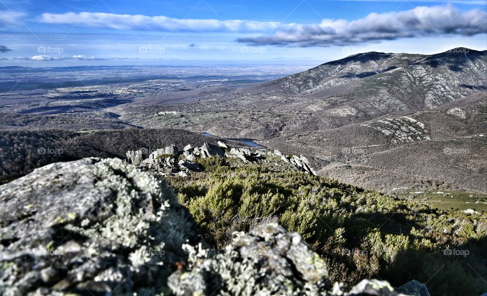 Sequía, Hayedo de Pedrosa
Drought, Pedrosa Beech