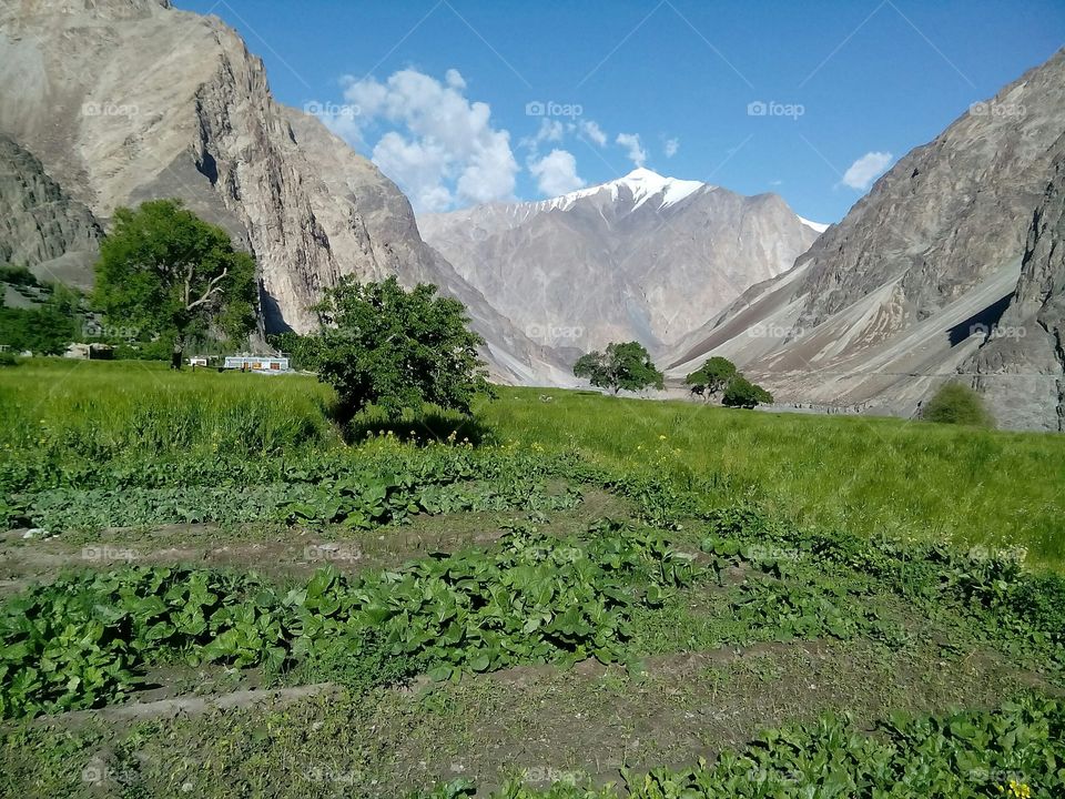 Amazing view of a village in Leh, Laddakh called Bongdang.