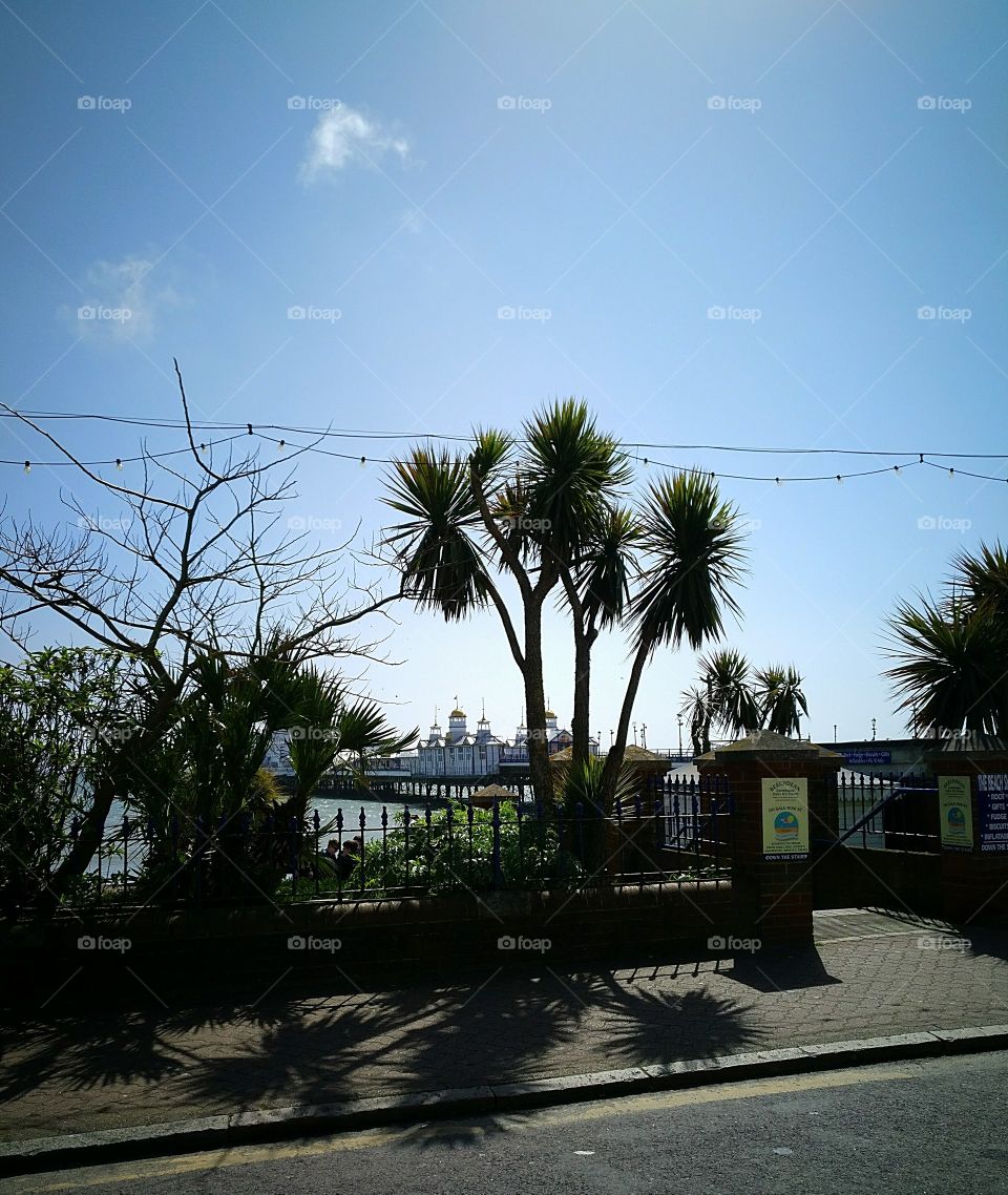 Sunny downtown Eastbourne