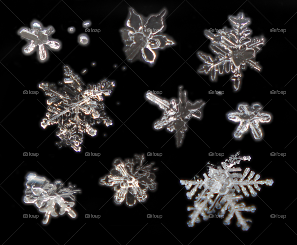 snow winter white cold by Bea