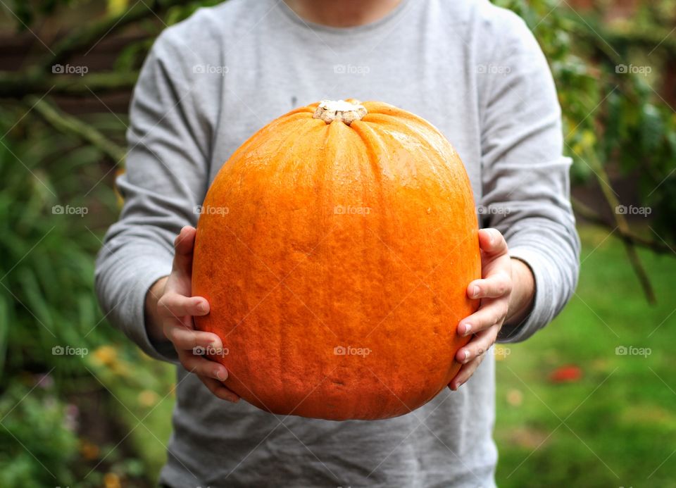 A man holding a large pumpkin in his hands outdoors in the garden