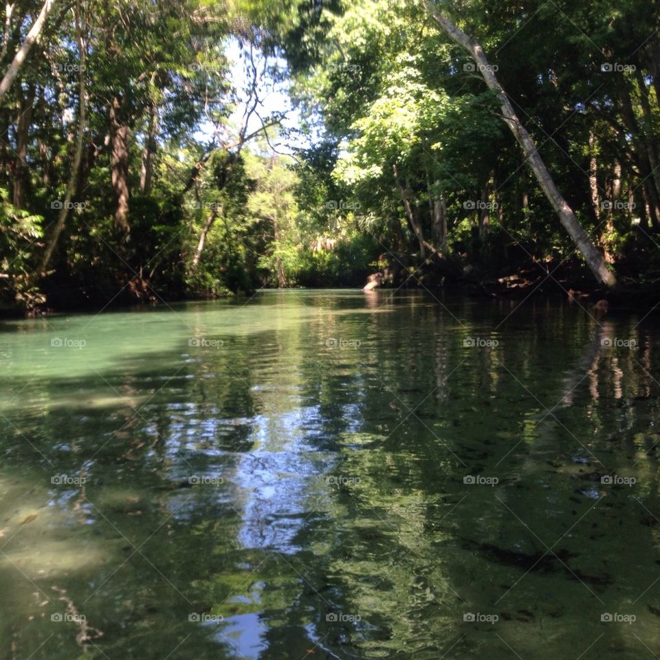 Weeki Wachee River