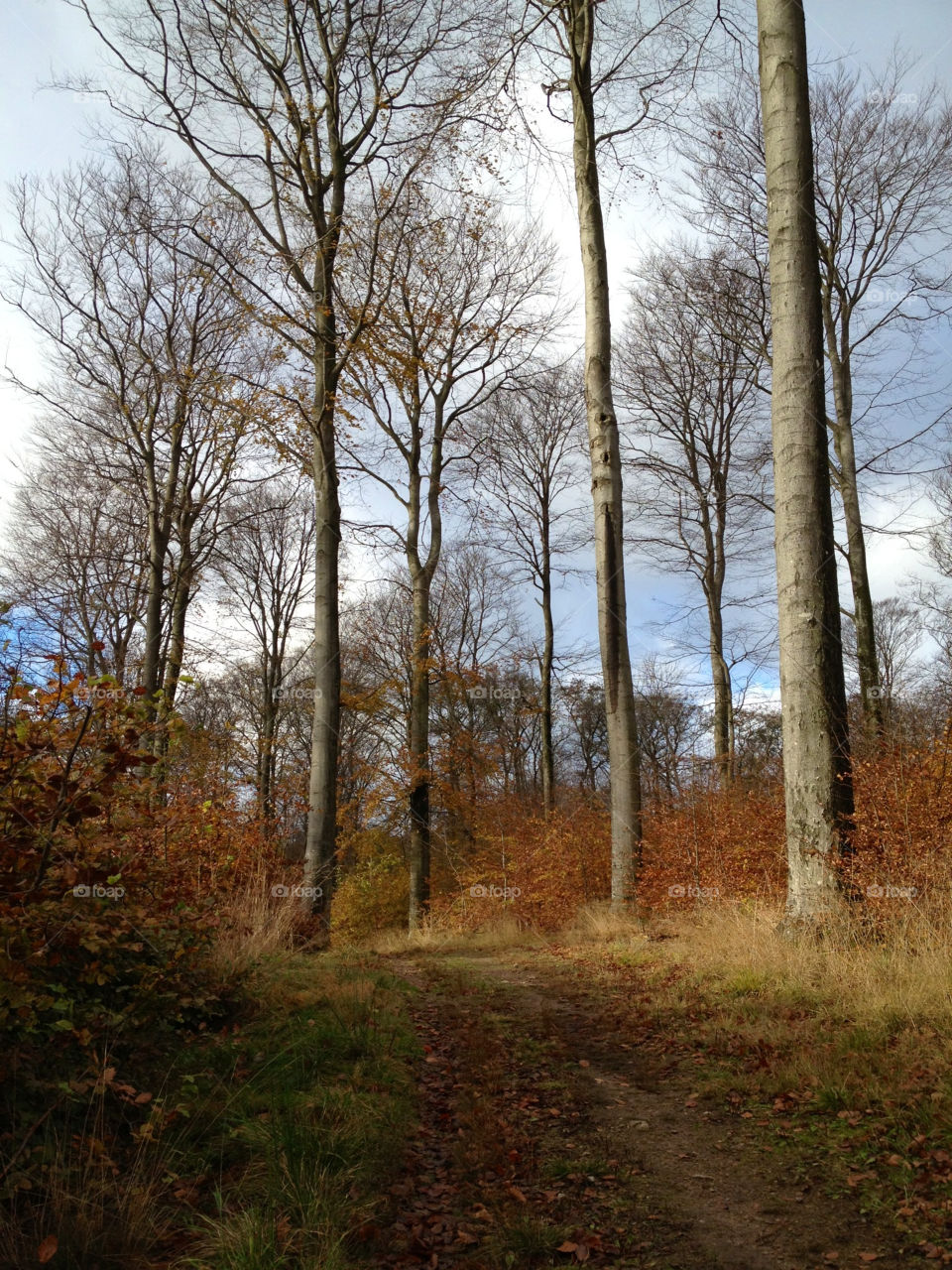 sweden autumn kullaberg skåne by cabday