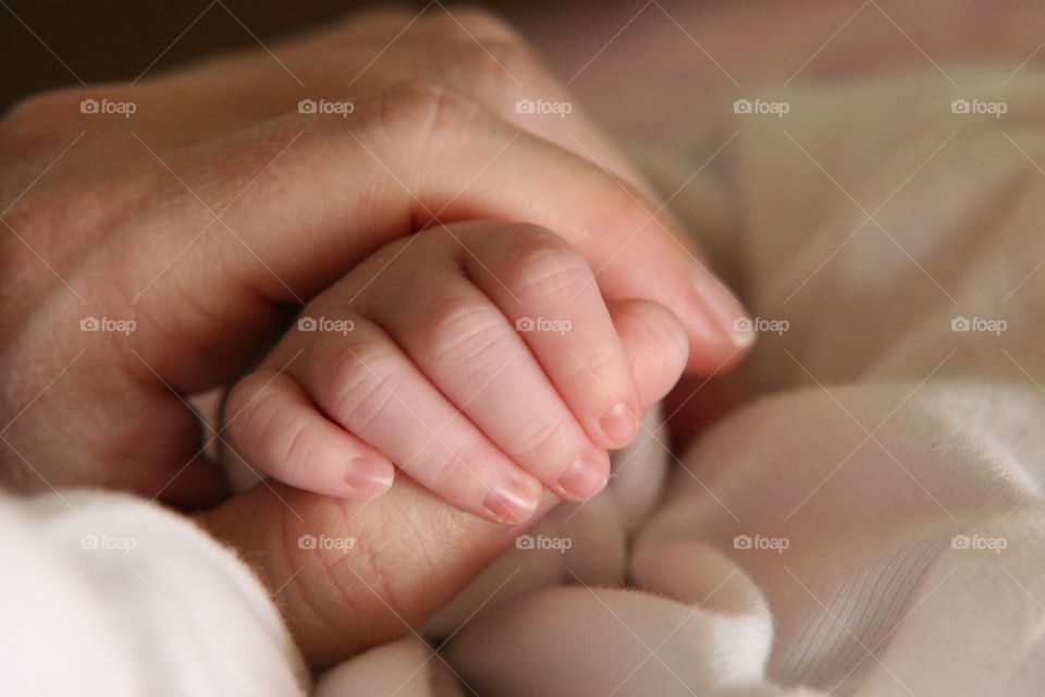 A new born baby holding his mother fingers