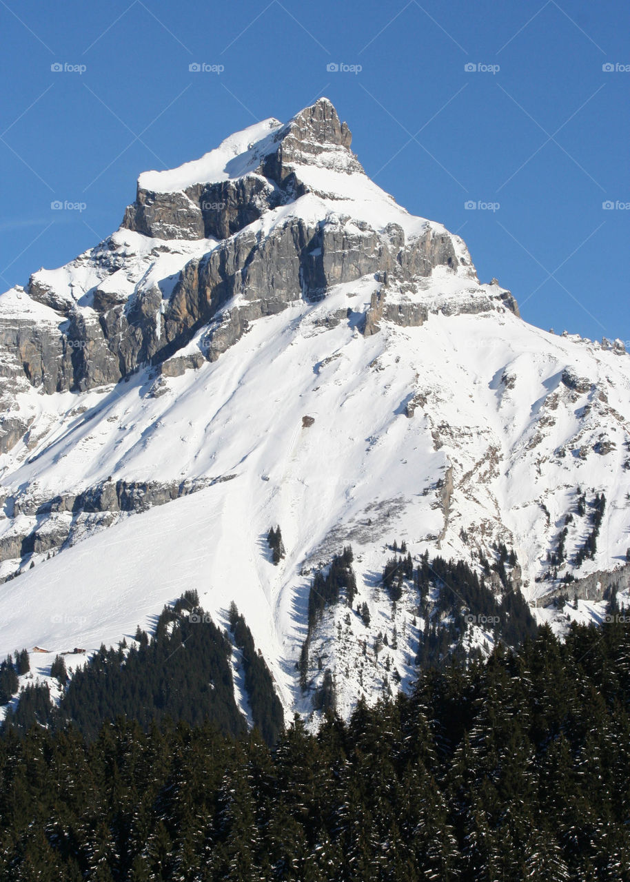 Switzerland mountain, decorated by nature, in a beautiful cold blanket of snow and trees. 