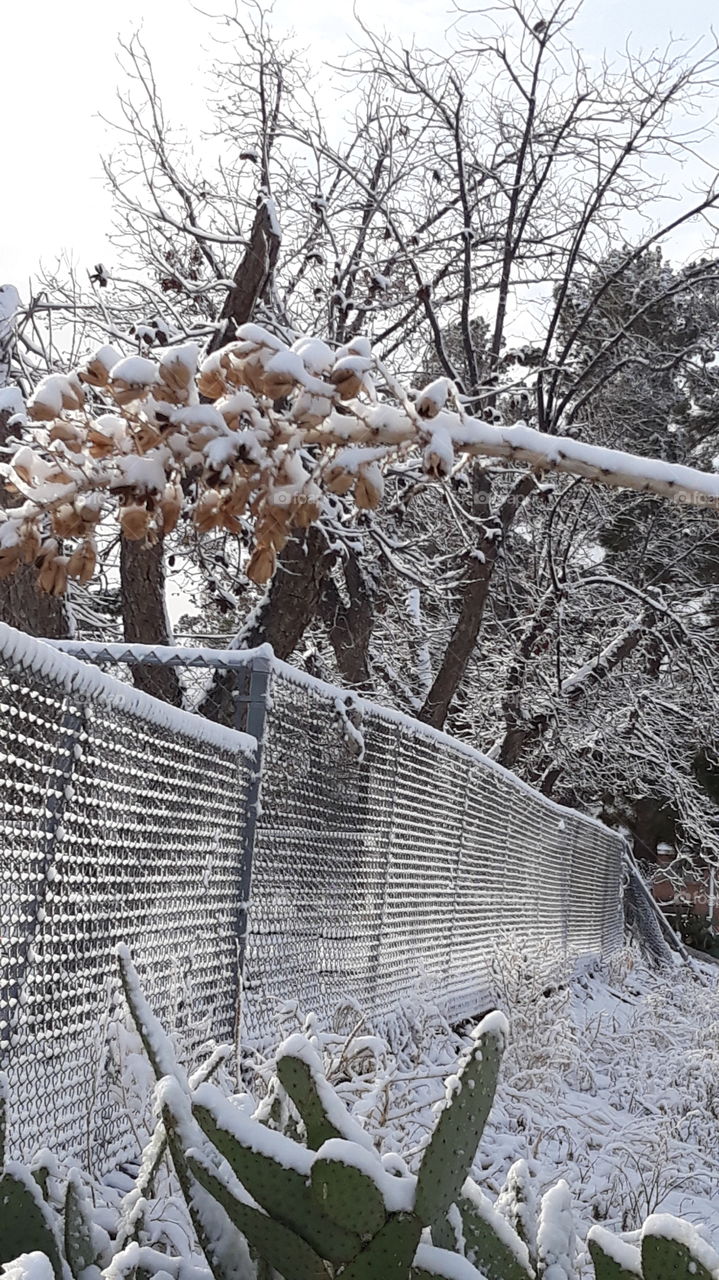 Over the Fence