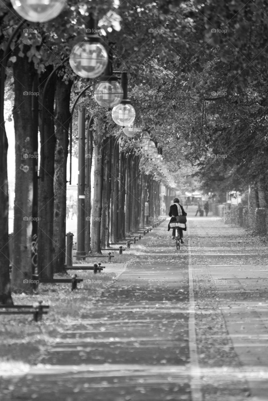 Cyclist in a park in Berlin