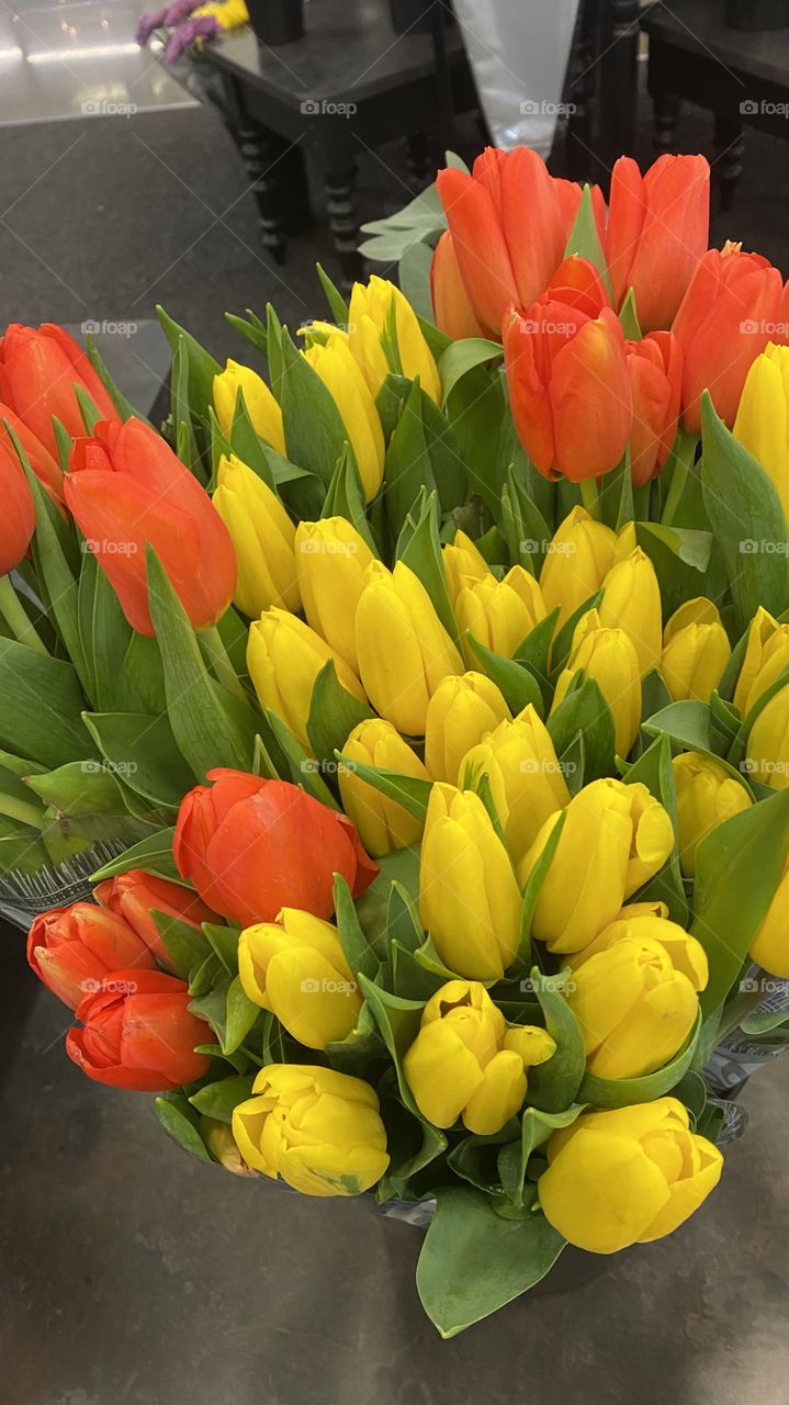 Out and about passing outdoors landscaping shop. Slammed on brakes and whipped into to look at these  patches of fresh tulips. 