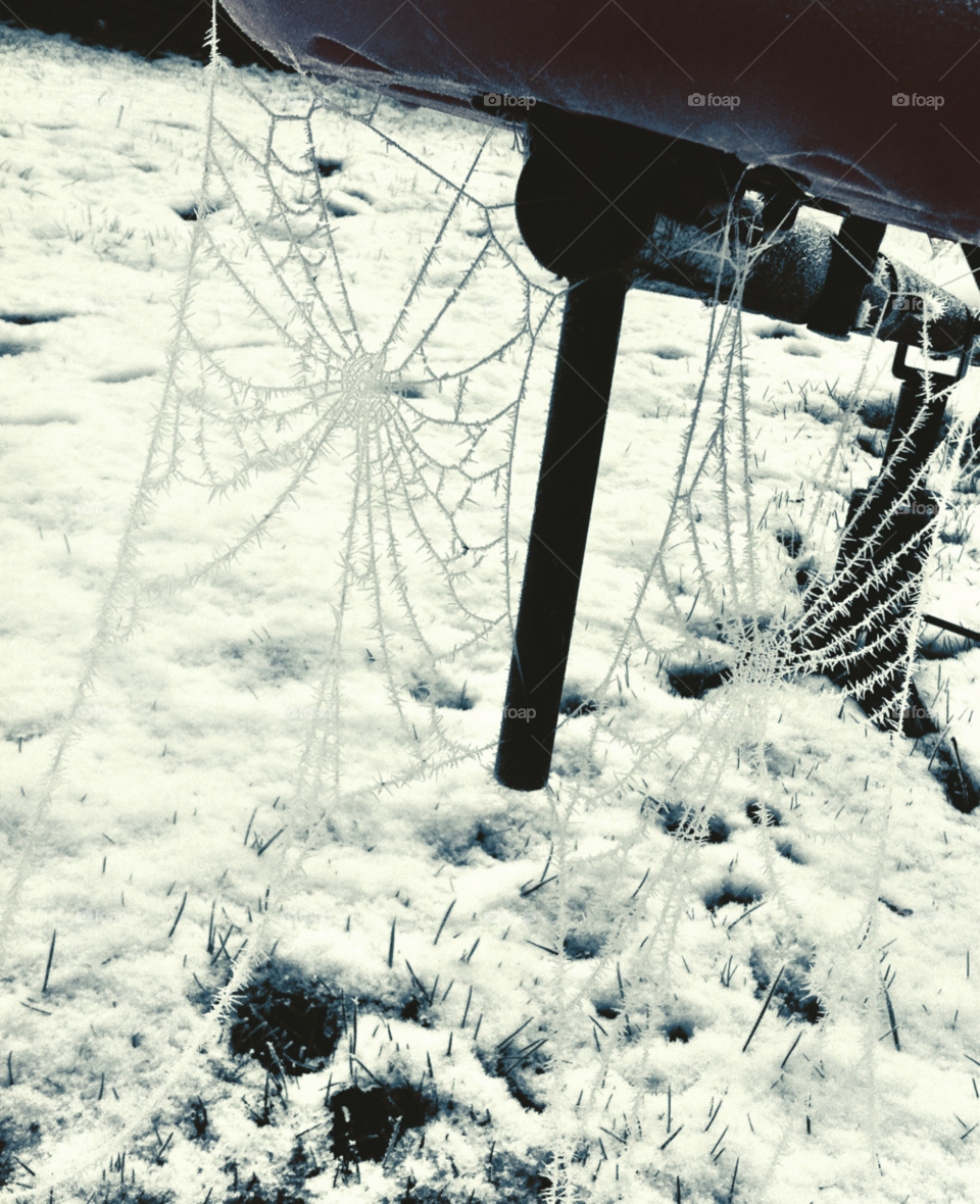 snow winter ice cold by binkyboo