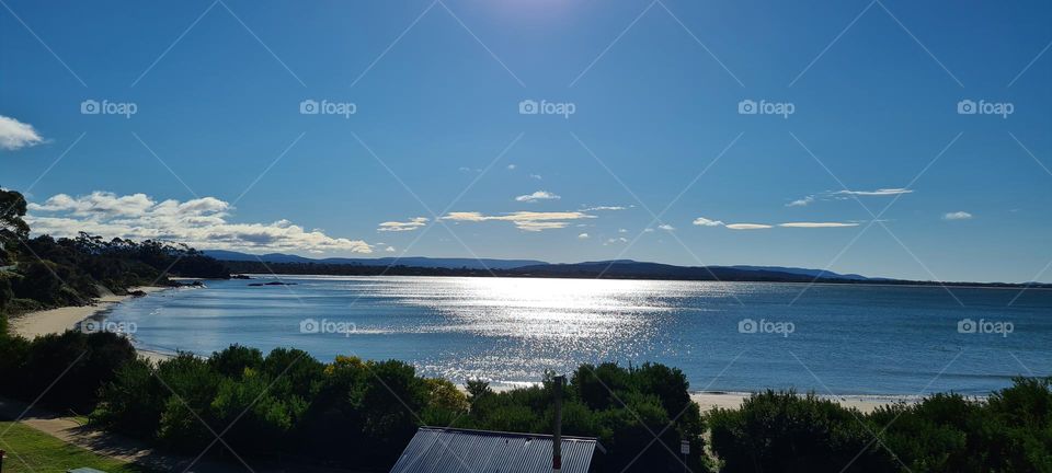 sunny morning by the Bay