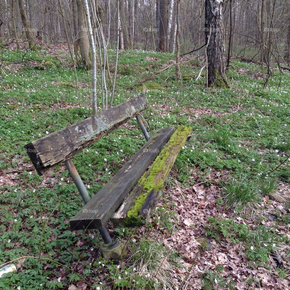 Old bench