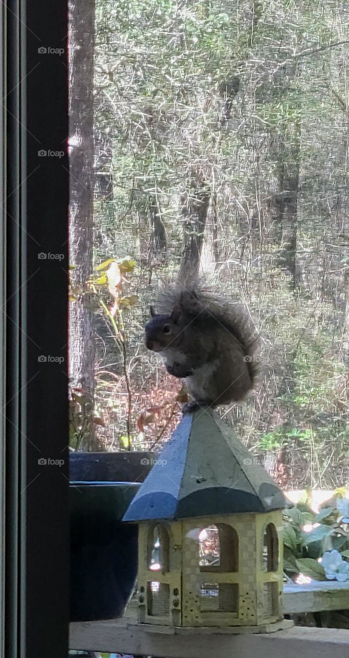 looking for a handout