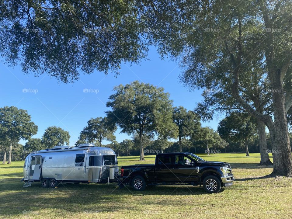 Camping under the trees 