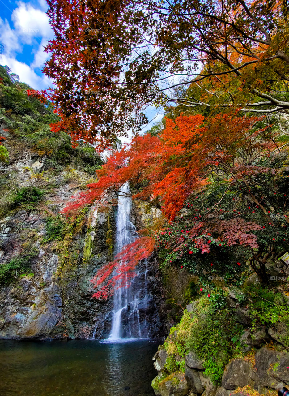 Minoo Falls